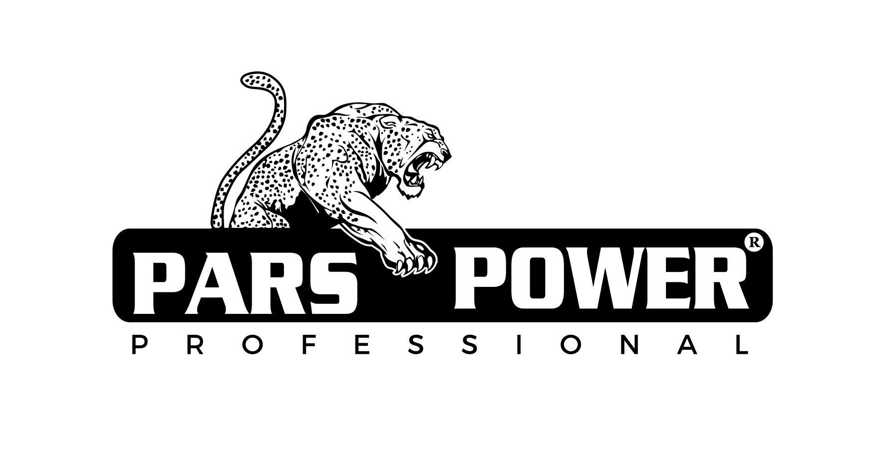 Pars Power
